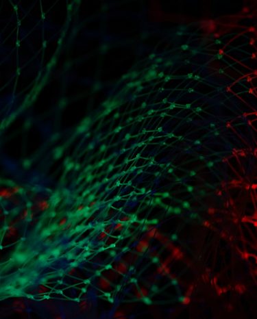 Webinar Is the Privacy Shield a Fairytale or Fable